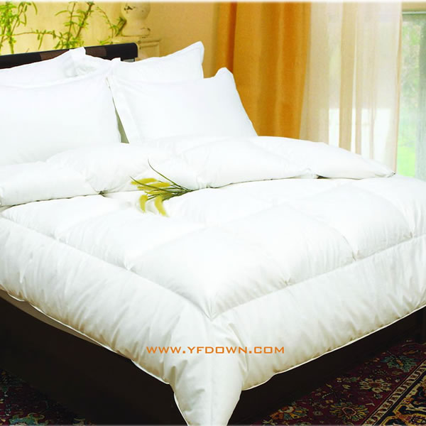 Down Filled with Framed Baffle Box Comforter